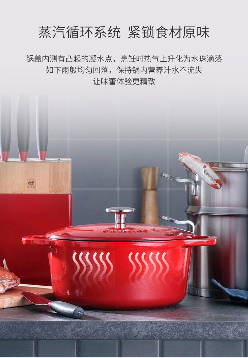 ZWILLING 双立人 珐琅铸铁锅 24cm/4L 图2