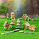 Micro landscape succulent bonsai bonsai forest fantasy small house wooden house street sign landscaping diy decoration ornaments