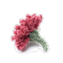 Japan direct mail San Carlino corsage mens gift formal party debut cockscomb rosa CELOSIA