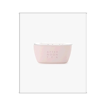 Japan Direct Mail Japanese Tide AfternoonTea Yamanaka Paint Logo Works Antibacterial Storage Container L GK64