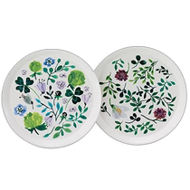 Japan direct mail (Japan direct mail) Narumi Narumi Frozen 2-piece tableware set 16cm 9660