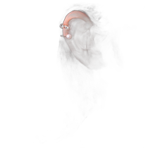 (Direct mail from Japan) Phoebe Ms. Ear Clip