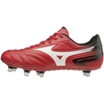 Japanese direct mail general sports shoes