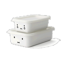 Japan direct mail Fuji enamel enamel rectangular sealed fresh-keeping bowl bread box storage box set