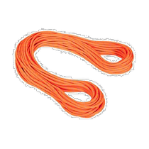Ritz errand MAMMUT Mammoth 9 5 alpine dry rope Drytandardafetyorangezen7