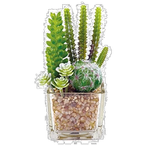 (Direct Mail from Japan) Kishima Deodorizing Artificial Green Succulent Shiitake Mushroom KH-60985
