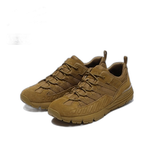 Japan direct mail Danner mens 20580 low-top hiking shoes outdoor