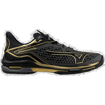 Japanese direct mail mizuno mens casual shoes Mezzinung