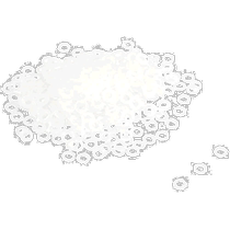 (Japan Direct Mail) Pearl Pearl Glasses Accessories Transparent Gaskets 500 FITTING P-096