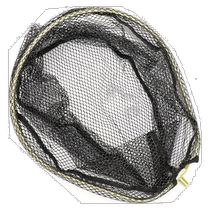 Japan direct mail Jackson Qu-on Super Trickster Net ordinary frame STN-NF GD