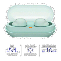 Japan Direct mail Sony SONY WF-C500 G Ice Green Wireless stereo headphones WFC500G