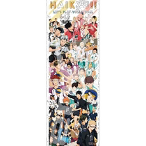 (Japan Direct mail) Ensky volleyball adolescents determination puzzle minimalist easy to contain puzzle class 300 pieces