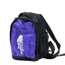 Japan direct mail THE NORTH FACE North Face BOZER MINI BACKPACK backpack