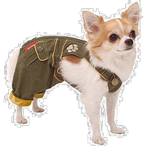 (Direct mail from Japan) IrisOhyama Pet Diaper Cover Khaki SS OC