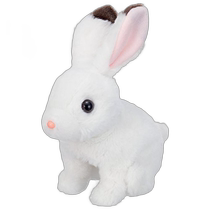 (Direct mail from Japan) IWAYA little bunny with popping ears Yukki