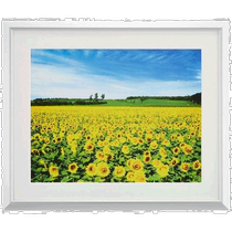 (Direct mail from Japan) Nakabayashi Nakabayashi Aluminum Lightweight Photo Frame Six-cut Size Silver F-SA-2