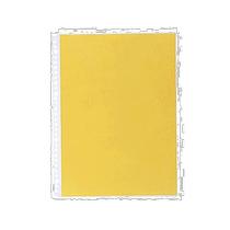 (Japan Direct mail) Lihit Lab transparent insert page bag thick mouth A4 30 holes 10 sheets N2102