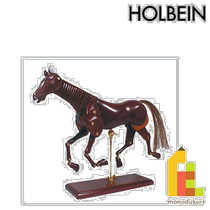 Japan direct mail Holbein horse model No. 3
