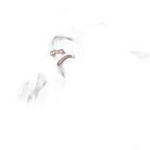 (Direct mail from Japan) Phoebe Ms. Ear Clip