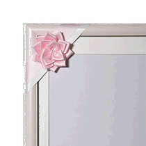 (Direct Mail from Japan) Fujicolor Fujifilm Ribbon for Portrait Frame Pink 905360