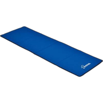 Japanese direct mail toei light universal yoga mat