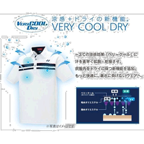 YONEX Womens Skirt Tennis Badminton Wear Lower Pants Skirts Underwear 26091 Yonex Tennis Wear