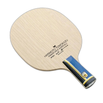 Япония импортирует Японию для того чтобы сделать карту-бабочку профессиональной теннисной ракеткой 24040