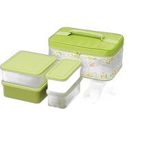 (Direct mail from Japan) Skedar Casual Lunch Box 3440ml with Ice Pack Totoro Pattern KCPC4-A