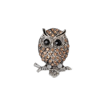 Japanese direct mail SHIPS any womens animal pattern owl brooch 729630005