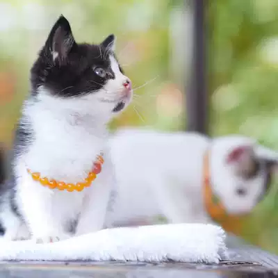 (Xiaoya jewelry) data to tourmaline Ober beeswax turpentine Jade 18K gold inlay 24k gold