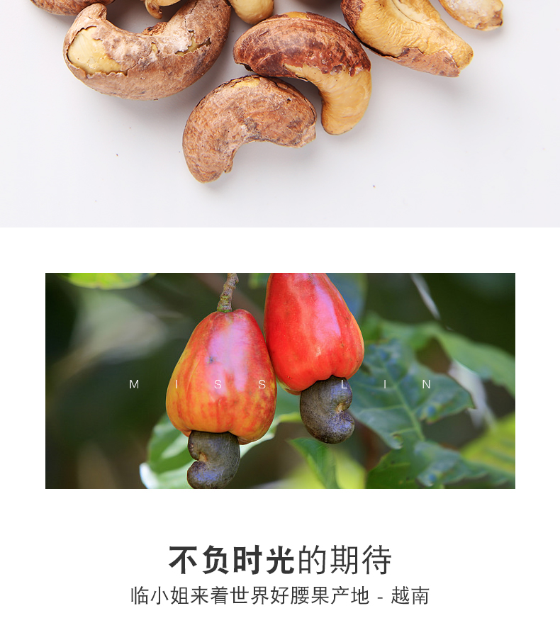 临小姐 越南炭烧腰果 250g 图3