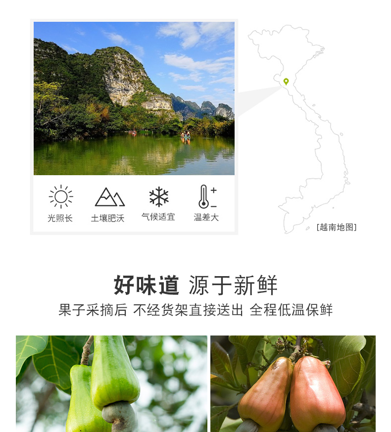 临小姐 越南炭烧腰果 250g 图4