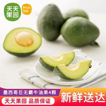 Orchard Mexican avocado (Big Mac) 4 fresh avocado supplement single Weight 160g