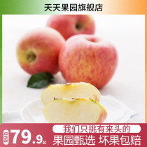 Tien Orchard Luochuan Apple 2 5kg 5kg single weight 230g domestic seasonal apple