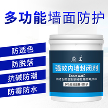 Interior Walls Closure Agent Transparent waterproof adhesive Wall putty Moisture Seepage Moulting Mouldy Leather Protection Indoor Waterproofing Paint