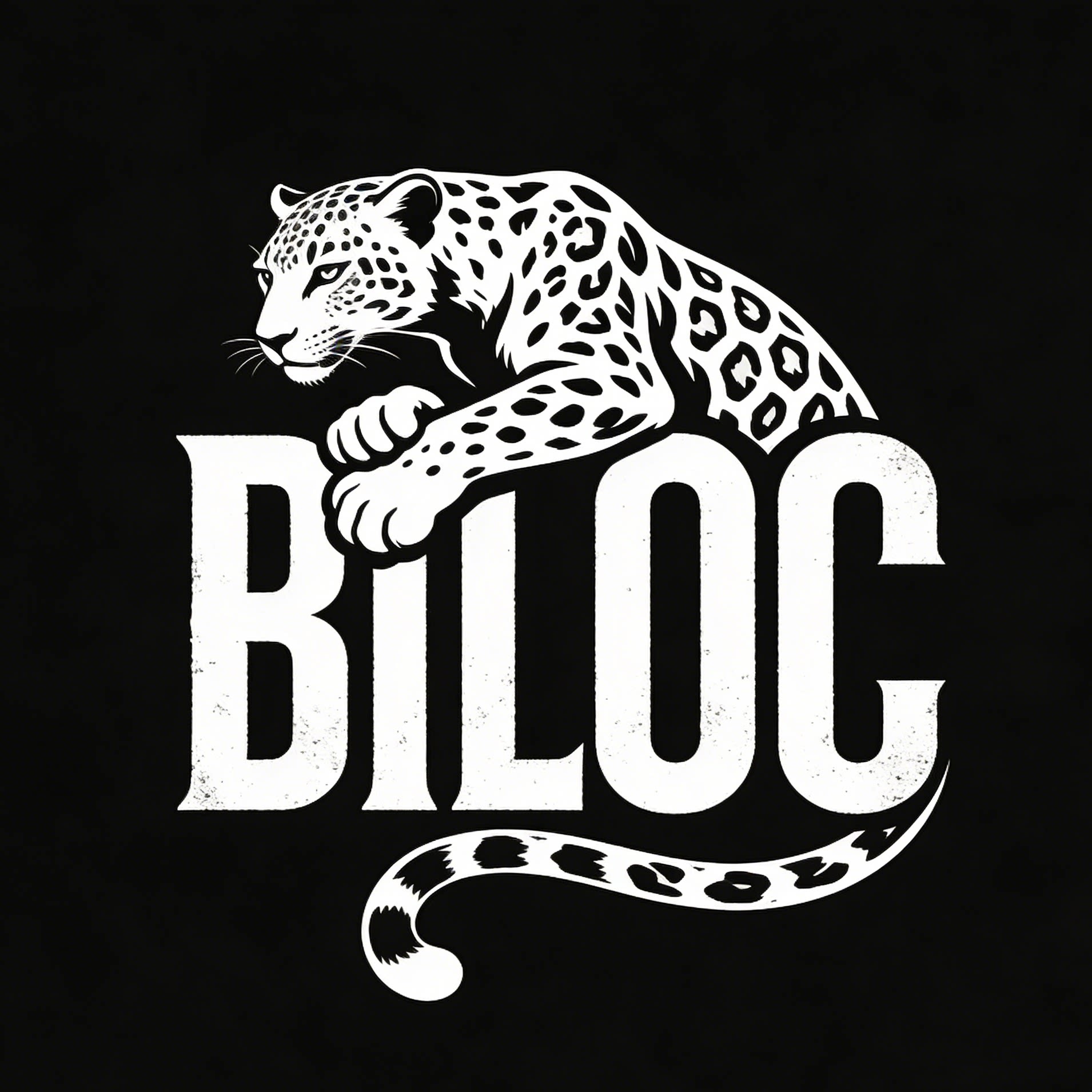 夜巡豹BILOC