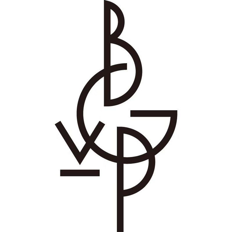 bgvp旗舰店的LOGO