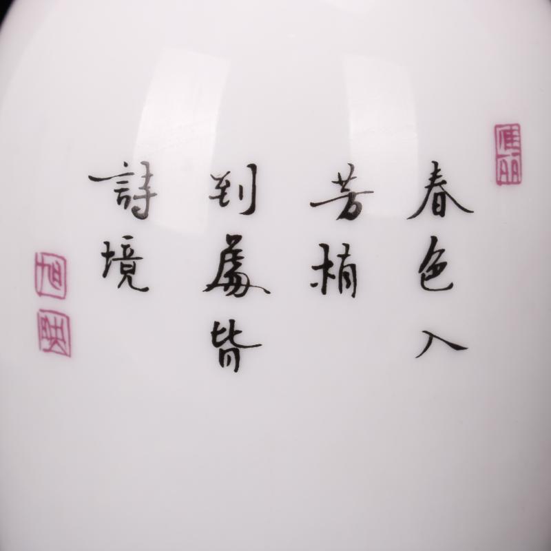 Jingdezhen imitation antique checking yongzheng com.lowagie.text.paragraph throwing hand draw pastel trace of gold floret bottle handicraft furnishing articles