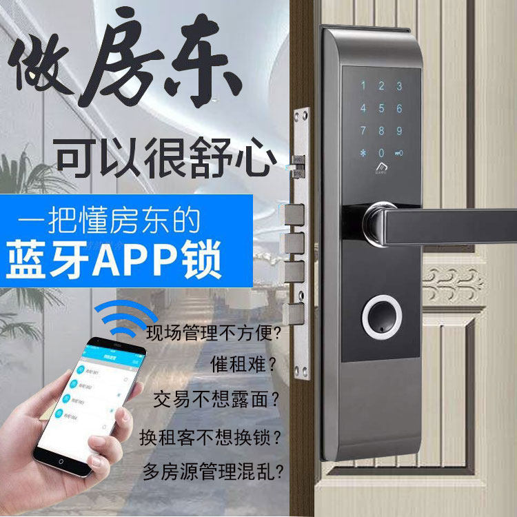Remote lock anti-theft door password rent short-day rental apartermagnetic card lock hotel smart lock