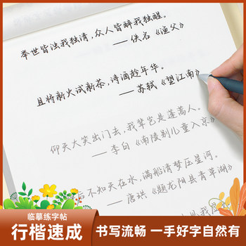 Selected Poetry from Nancheng Old Alleys: Calligraphy Practice Book for Adults, Hard Pen Copybook for Adult Penmanship, Calligraphy Writing Book for Boys and Girls, Practice Book for Middle and High School Students, Adults' Daily Practice of Regular Script, Quick Learning of Ancient Poems