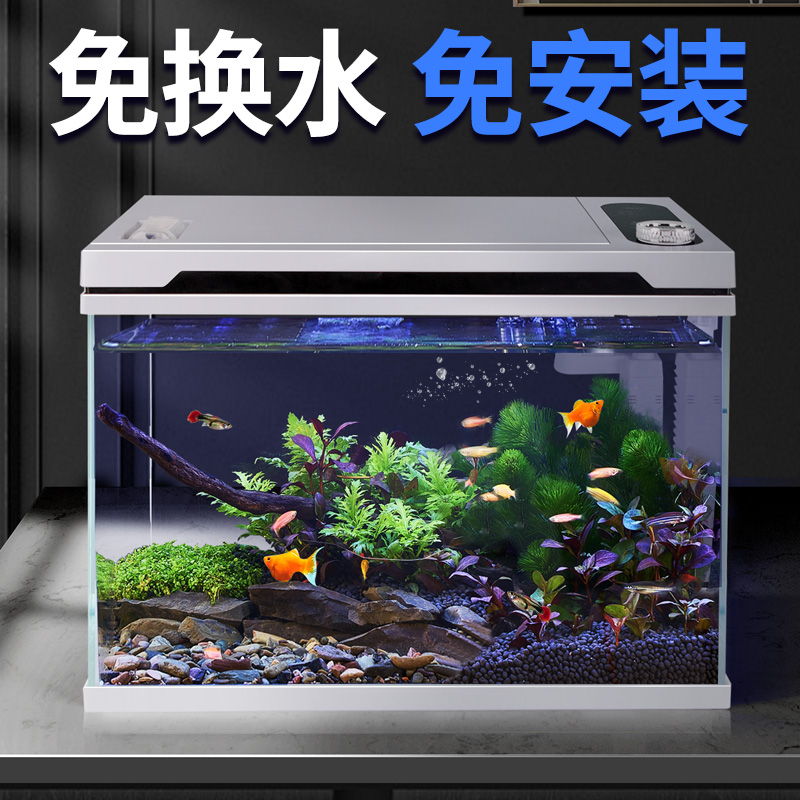無料設置2024新しい自動給餌水交換不要恒温殺菌生態超白ガラスリビングルーム小型水槽