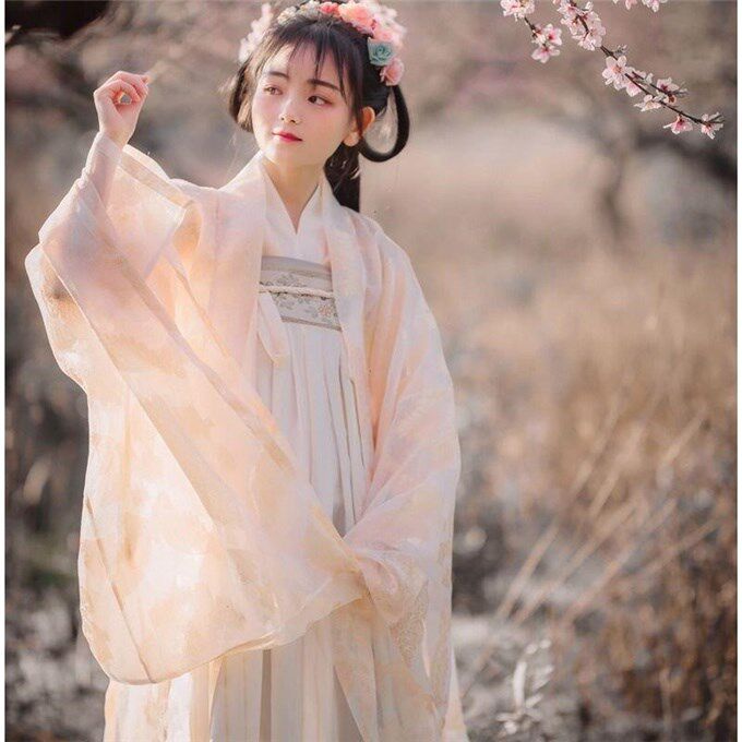The new ancient costume Hanfu Rongji re-engraved on the chest-length skirt Hanfu suit women's spot large-sleeved shirt chest-length skirt