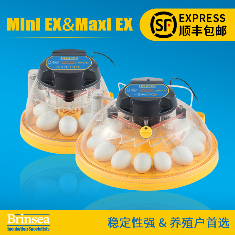 UK Brinsea general agent South Korea 1 4 inch socket wrench disc UK 1 4 inch socket wrench disc Parrot incubator Cole duck Kodak duck