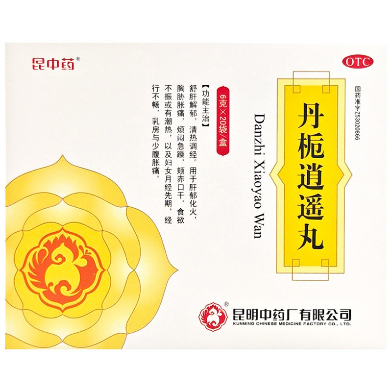 精装中医膏丹丸散大典丹丸剂分典:传承千年智慧的中医宝典📚 -专业辞典-淘宝百科网