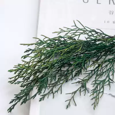 Meimuer Christmas green leaves and flowers Eternal flowers pine and Cypress branches and leaves in bulk 2 grams DIY hand-made dried flower decoration