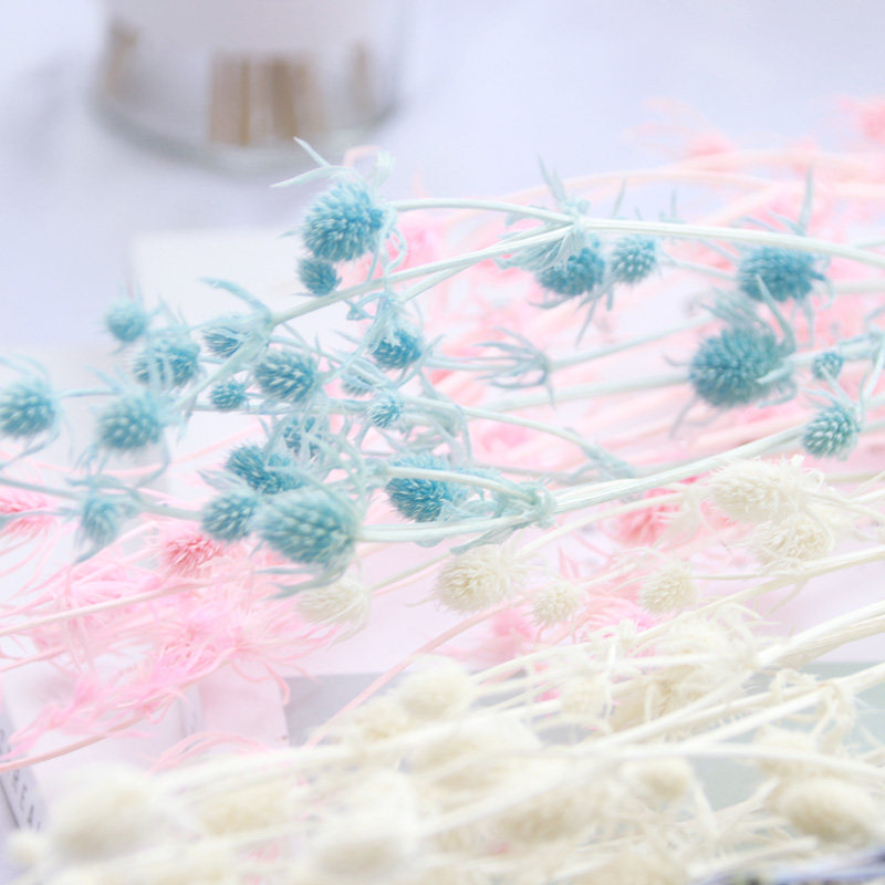 Beauty and children's digy hands for the Yongsheng Dry Flower Flowers Materials Little Tingle cress Pale Lover Fruit Aroma Lavender Candle Decoration Accessories