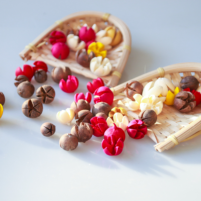 Mei Muer diy hand-dried flower fruit flower material photo frame group fan aromatherapy wax slice decoration cross pistachio 10