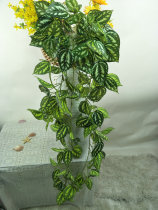 New new factory supply cold water leaf 7 fork wall hanging spotted leaf wall plant leaves decorative fake flower vines