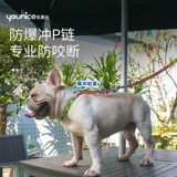 Dog Traction Dog P Взрыв Взрыв -Взрыв -защищен в нержавеющей стали воротник маленький большой собачий фонд Mao P Цепный кольцо для вымывания железной собаки.