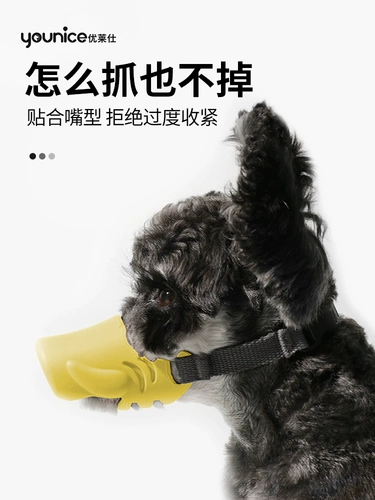 Собачья рта покрывает сетевая красная анти -салона и анти -рождественская плюшевая